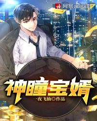 神瞳宝婿封面