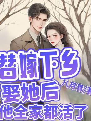替嫁下乡,娶她后,他全家都活了封面