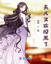 夫人又在招黑了封面