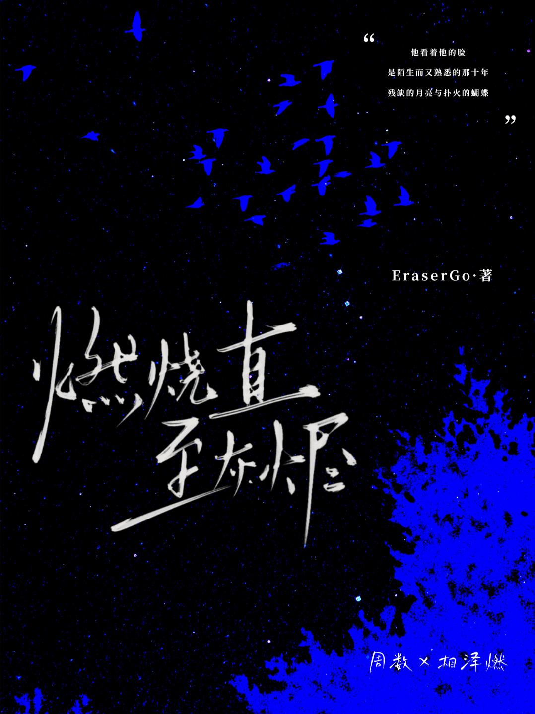 燃烧直至灰烬封面