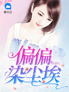 偏偏染尘埃封面