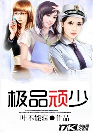 极品顽少封面
