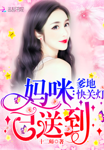 妈咪已送到,爹地快关灯封面