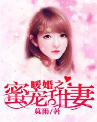 暖婚之蜜宠甜妻封面
