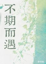 不期而遇封面
