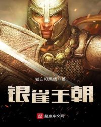 银雀王朝封面