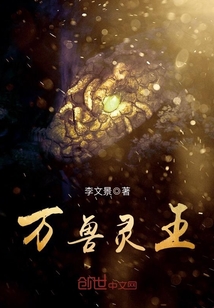 万兽灵王封面