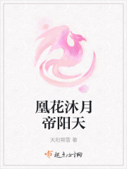 凰花沐月帝阳天封面