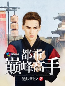 都市巅峰高手封面