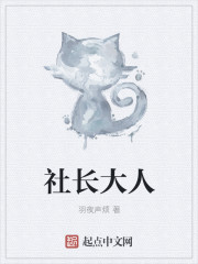 社长大人封面