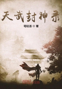 天武封神录封面