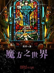 魔方之世界封面