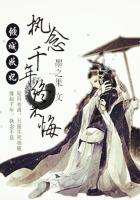 倾城妖妃：执念千年终不悔封面