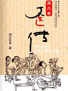 王二哥歪传封面