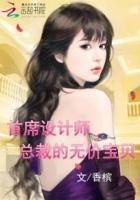 首席设计师：总裁的无价宝贝封面