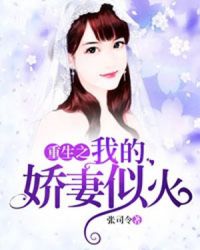 重生之我的娇妻似火封面