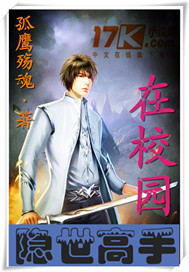 隐世高手在都市封面