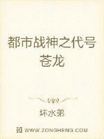 都市战神之代号苍龙封面