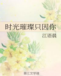 时光璀璨只因你封面