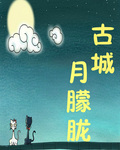 古城月朦胧封面