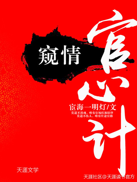 窥情：官心计封面