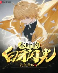 木叶的白牙闪光封面