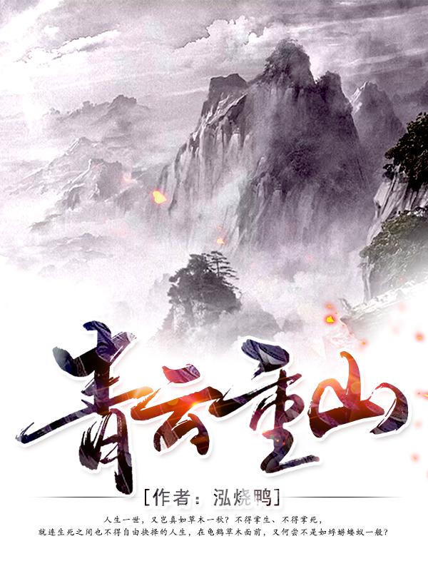 青云重山封面