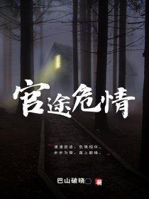 官途危情封面