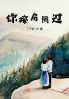 你擦肩而过封面
