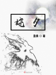 娆夕封面