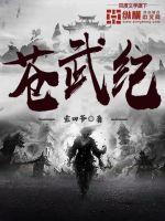 苍武纪封面