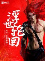 浮世轮回封面