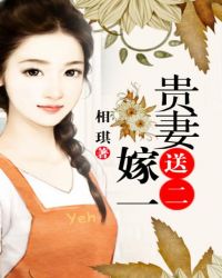 贵妻嫁一送二封面