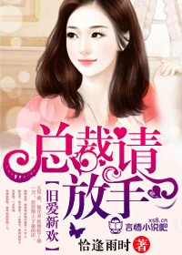 旧爱新欢，总裁请放手封面