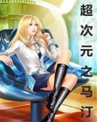 超次元之马汀封面