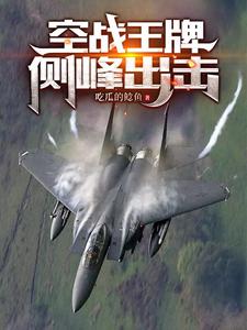 空军:从王牌ACE系统开始崛起封面