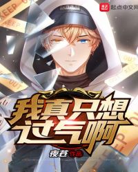 我真只想过气啊封面