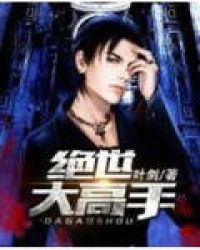 绝世大高手封面