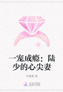 一宠成瘾：陆少的心尖妻封面