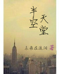 半空天堂封面