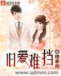 旧爱难挡封面