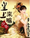 皇上来嘛封面