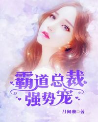 霸道总裁强势宠封面