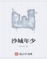 沙城年少封面