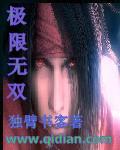 极限无双封面