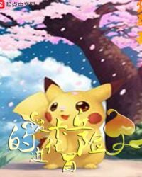皮卡丘的进化冒险封面