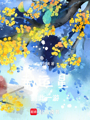 幸运星到此一游封面