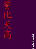 誓比天高封面
