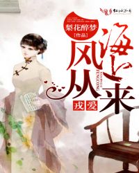 戎爱:风从海上来封面