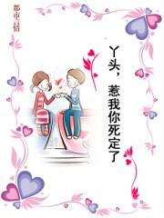 丫头，惹我你死定了封面